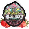Magic Mushroom Gummies - Strawberry Dream
